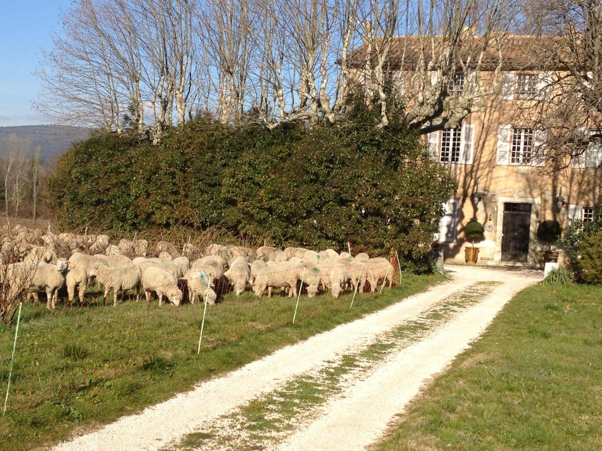 B&B Domaine Le Clos Du Pavillon บริญญอล ภายนอก รูปภาพ