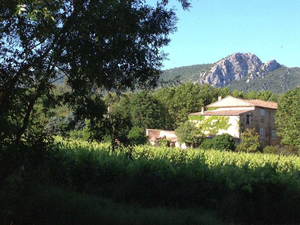 B&B Domaine Le Clos Du Pavillon บริญญอล ภายนอก รูปภาพ